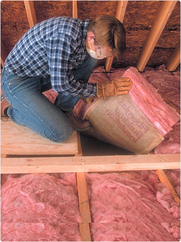 Insulation Removal