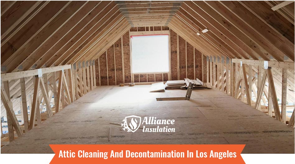 Attic Cleaning and Decontamination In Los Angeles