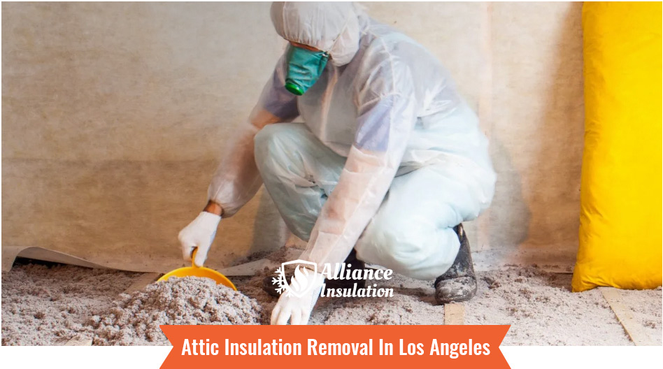 Attic Insulation Removal In Los Angeles