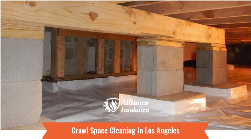 Crawl Space Cleaning In Los Angeles
