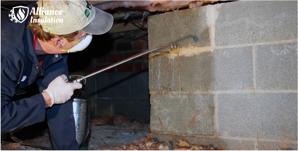 Crawl Space Cleaning Work